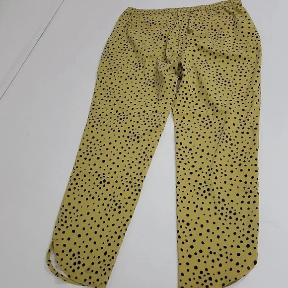 Marine Layer Allison Pants: womens medium, gold color with black polka dots. 💛⚫️ - Picture 9 of 11